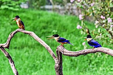 搞怪黑色幽默FPS《High On Life》5月6日登陆Switch